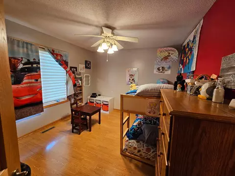Other - 712 Mlinar Ave, Spring Valley, MN 55975 photo 4 of 12