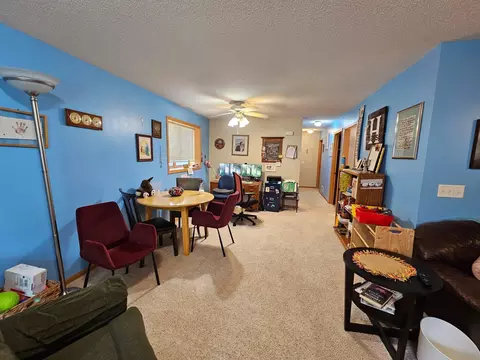 Other - 712 Mlinar Ave, Spring Valley, MN 55975 photo 8 of 12