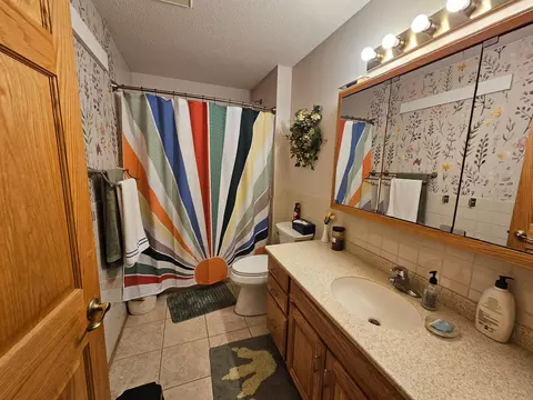Bath - 712 Mlinar Ave, Spring Valley, MN 55975 photo 2 of 3