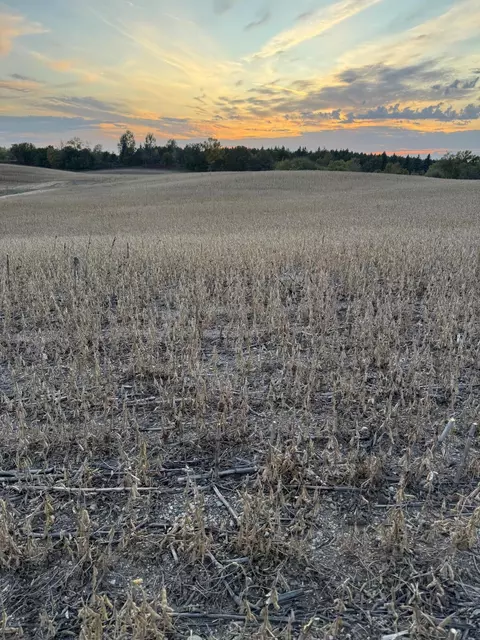 tbd Placid Dr, Dent, MN 56528 photo 2