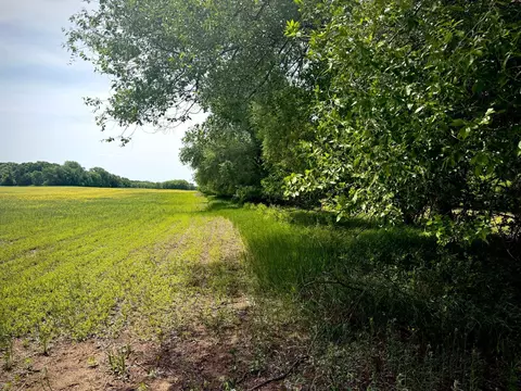 tbd 10ac 87th St SE, Becker, MN 55308 photo 9