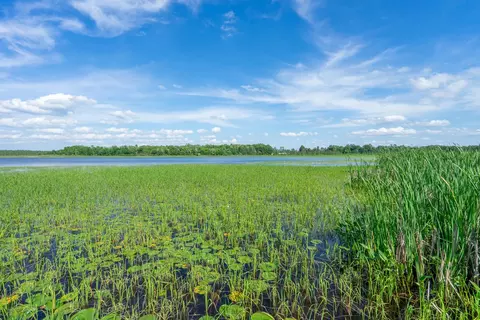 41892 251st Pl, Mcgregor, MN 55760 photo 19