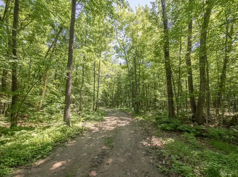 tbd County 5, Hackensack, MN 56452 photo 10