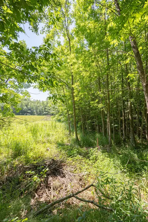 tbd County 5, Hackensack, MN 56452 photo 5
