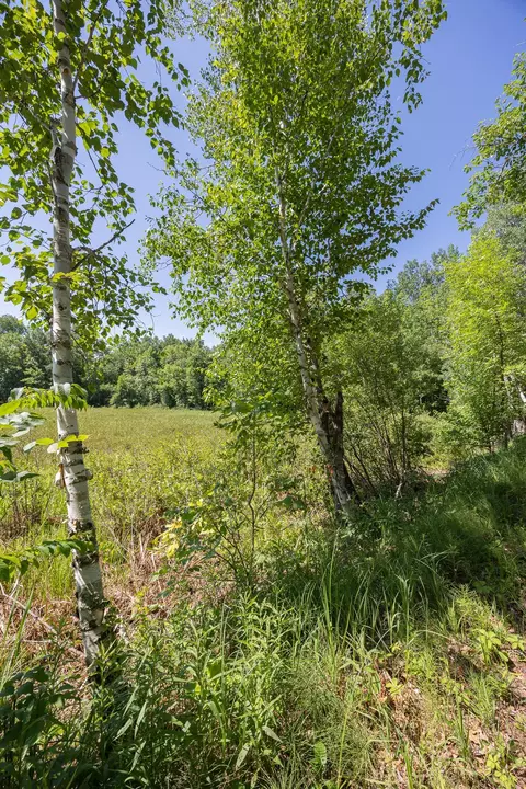 tbd County 5, Hackensack, MN 56452 photo 3