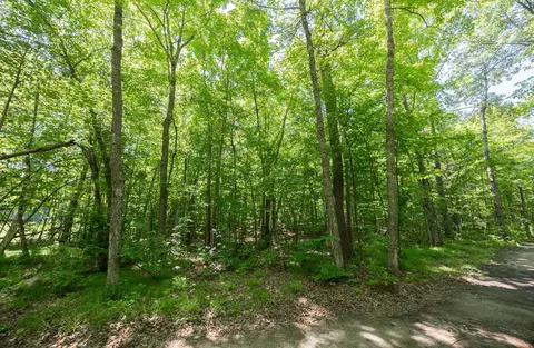 tbd County 5, Hackensack, MN 56452 photo 8