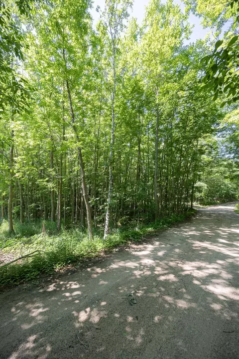 tbd County 5, Hackensack, MN 56452 photo 6