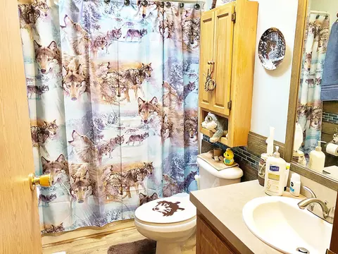 Bath - 18010 480th Ln, Mcgregor, MN 55760 photo 3 of 3