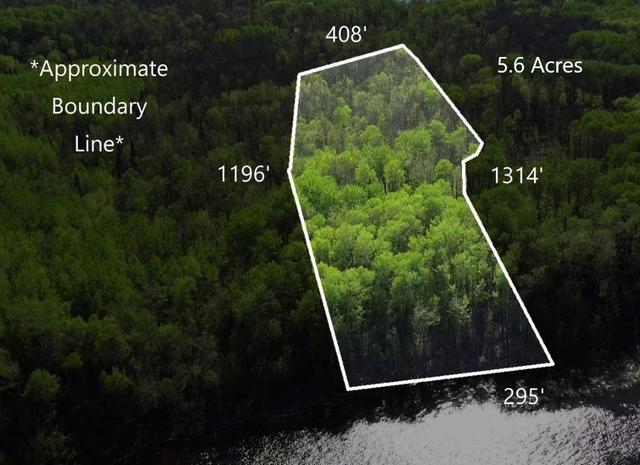 lot11 Tbd Driftwood Ln NW, Baudette, MN 56623