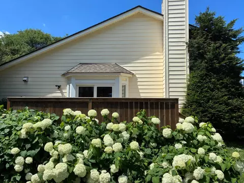 Exterior - 8116 122nd Ln N, Champlin, MN 55316 photo 13 of 13