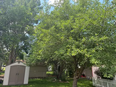Exterior - 8116 122nd Ln N, Champlin, MN 55316 photo 11 of 13