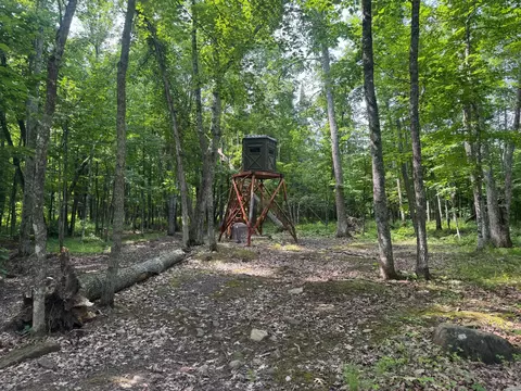 Nnn W Eckel Lane, Couderay, WI 54835