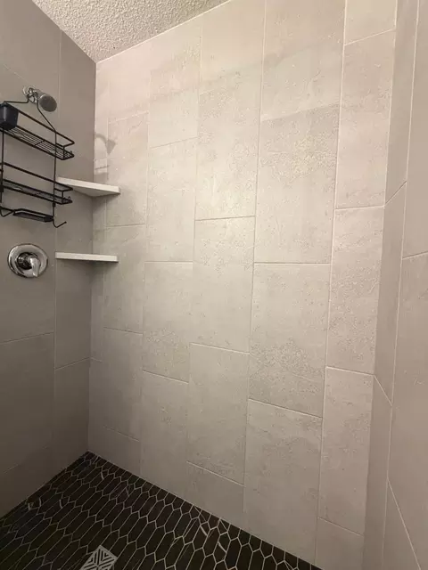 Bath - 374 Cherry St W, Mazeppa, MN 55956 photo 4 of 4