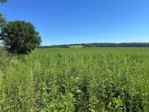 000 330th, Ashby, MN 56309 photo 3