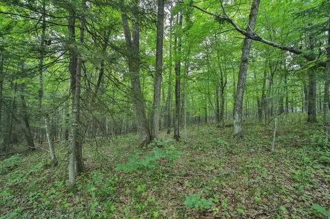 tbd Garden Ln, Mcgregor, MN 55760 photo 2