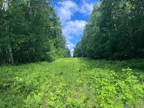 tbd Cedar Rd, Cushing, MN 56443 photo 10