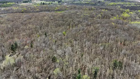 tbd Cedar Rd, Cushing, MN 56443 photo 33