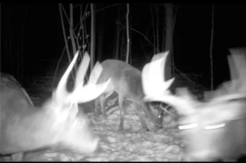 tbd Cedar Rd, Cushing, MN 56443 photo 21