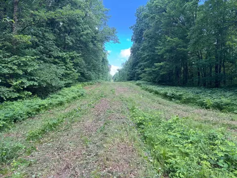 tbd Cedar Rd, Cushing, MN 56443 photo 14