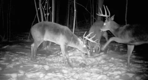 tbd Cedar Rd, Cushing, MN 56443 photo 3