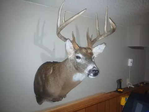 tbd Cedar Rd, Cushing, MN 56443 photo 9