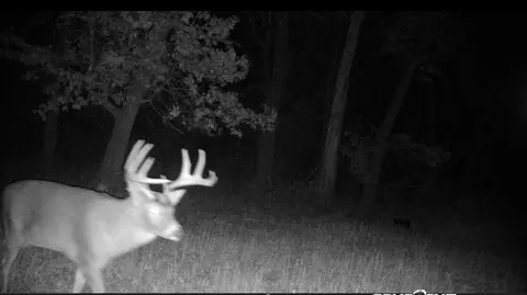 tbd Cedar Rd, Cushing, MN 56443 photo 26