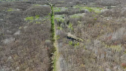 tbd Cedar Rd, Cushing, MN 56443 photo 23