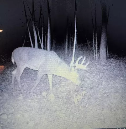 tbd Cedar Rd, Cushing, MN 56443 photo 30