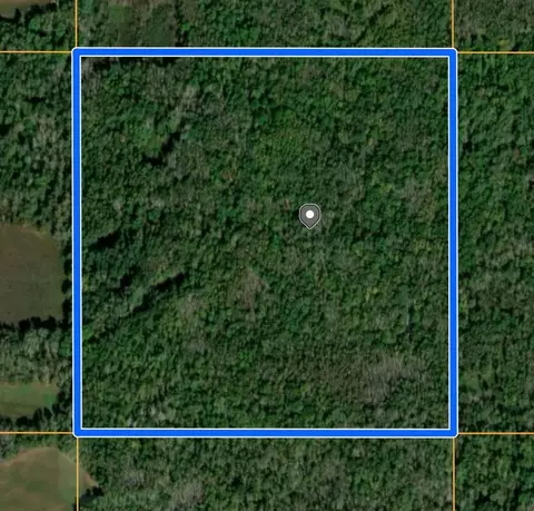 tbd Tbd, Pine River, MN 56474 photo 7