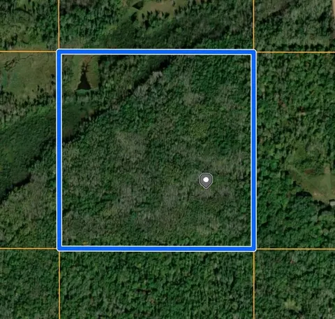 tbd Tbd, Pine River, MN 56474 photo 5