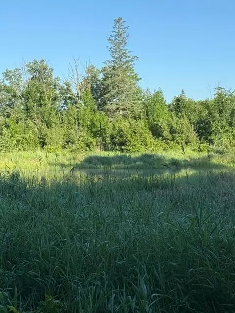 tbd Tbd, Pine River, MN 56474 photo 2