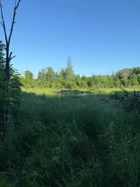 tbd Tbd, Pine River, MN 56474 photo 3