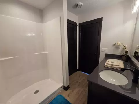 Bath - 1110 Cullen St, Saint Peter, MN 56082 photo 9 of 11