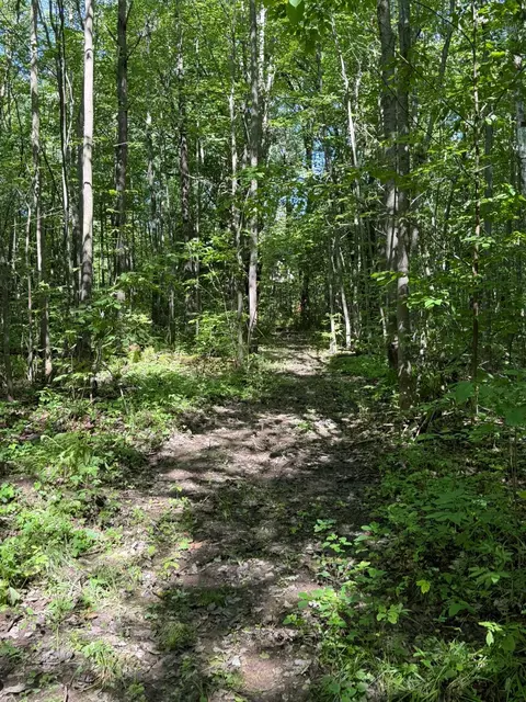 23701 60th Ave, Milaca, MN 56353 photo 6