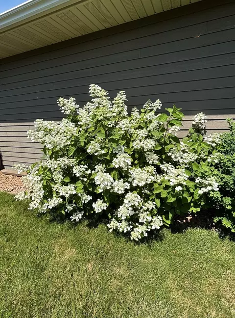 Exterior - 3807 N Eagle Rd, Willmar, MN 56201 photo 13 of 26