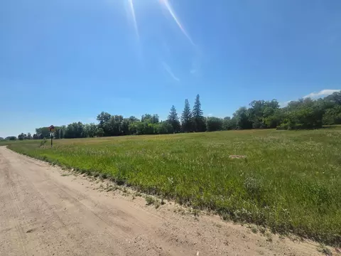 tbd Pleasant Ave Se 600 Block, Twin Valley, MN 56584