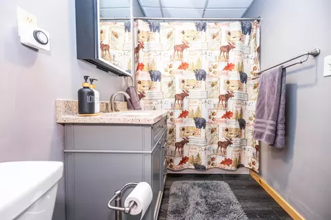 Bath - 48957 428th St, Perham, MN 56573 photo 8 of 9