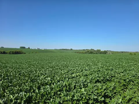 tbd 310th Ave, Elgin, MN 55932 photo 2