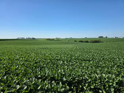 tbd 310th Ave, Elgin, MN 55932 photo 17
