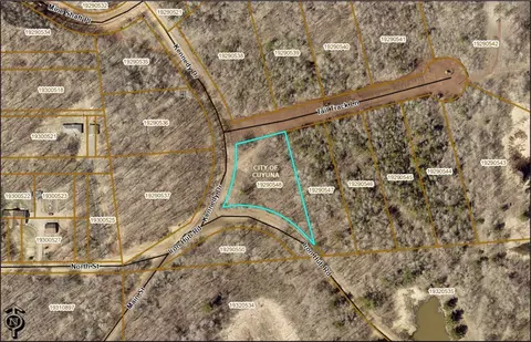 1 03 Acres Lot 11 Block 3 Tail Track Ln, Deerwood, MN 56444