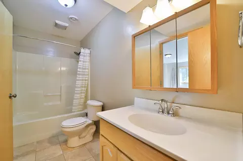 Bath - 16310 Pristine Pine Ct, Brainerd, MN 56401 photo 3 of 3