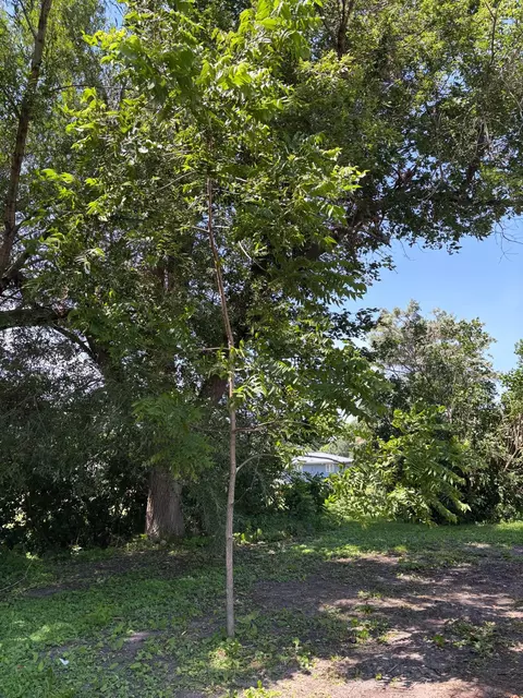Other - 106 1st Ave SW, Eagle Bend, MN 56446 photo 19 of 21