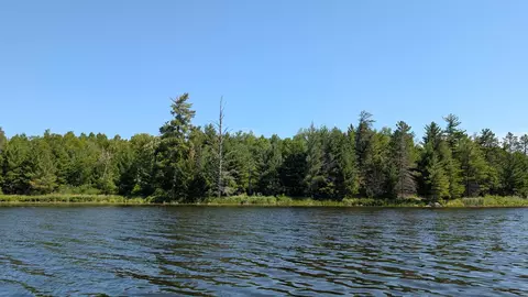 tbd Hwy 24, Orr, MN 55771 photo 11