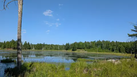 tbd Hwy 24, Orr, MN 55771 photo 6