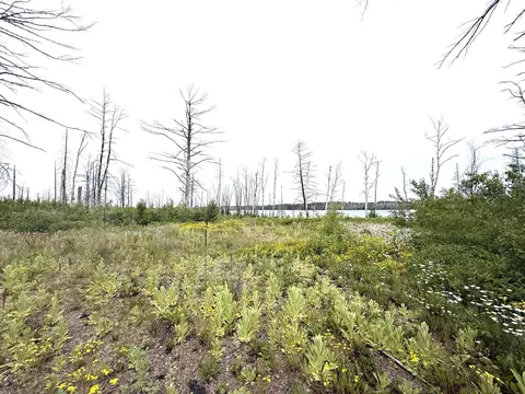 2377 N Mcdougal Ln, Isabella, MN 55607 photo 8