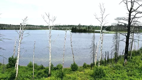 2377 N Mcdougal Ln, Isabella, MN 55607 photo 4