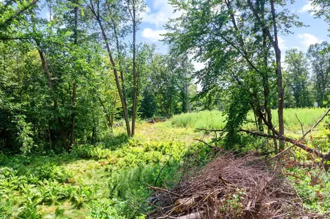 1850 Klondike Dr NE, Cedar, MN 55011 photo 3