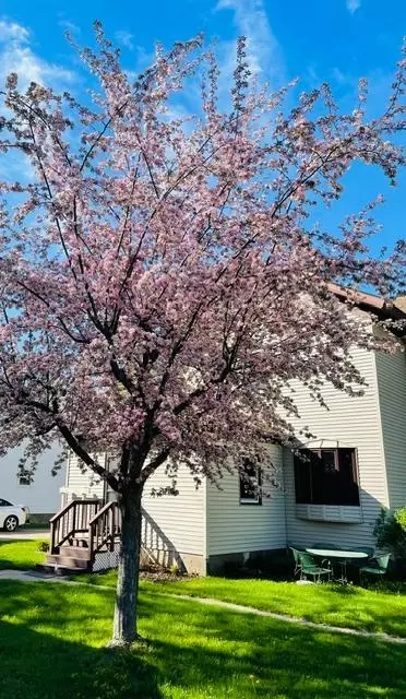 203 S Garden St, Lake City, MN 55041