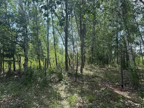 Abc County 2, Nevis, MN 56467 photo 17