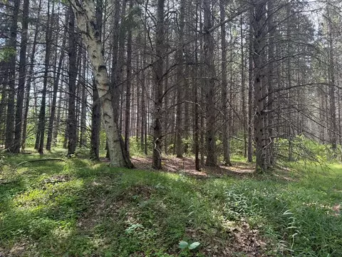 Abc County 2, Nevis, MN 56467 photo 16